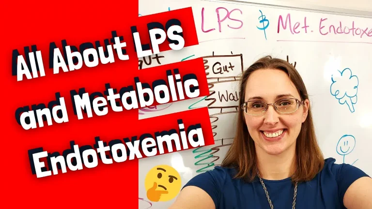 All About LPS and Endotoxemia