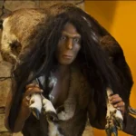Homo erectus en el museo de prehistoria de Tautavel (Francia) | GoVeganWay.com