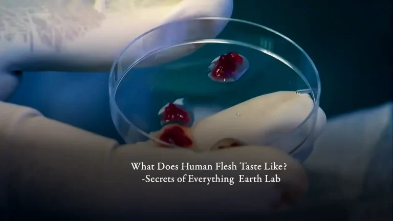 ¿A qué sabe la carne humana? | Secretos de todo | Laboratorio de la Tierra