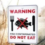 do not eat fish sign