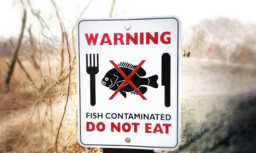 Environmental toxicity- It is just a food chain do not eat fish sign