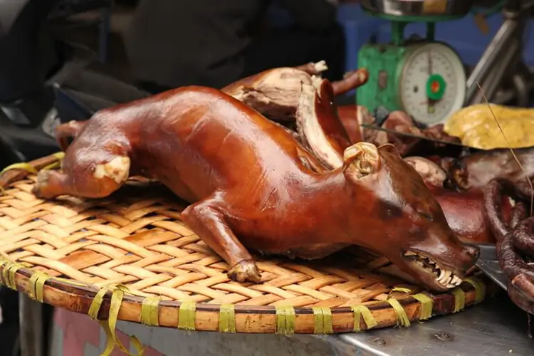 dog meat market