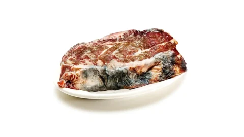 Endotoxemia de bactérias da carne cozinhada - Inflamação e dieta