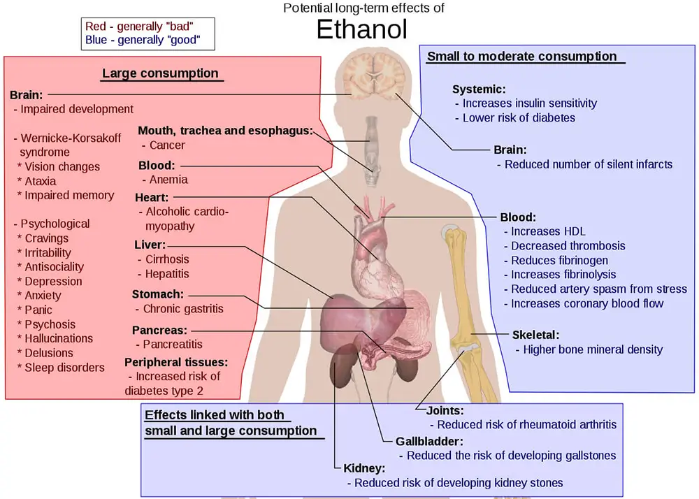 Posibles_efectos_a_largo_plazo_del_etanol