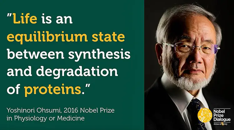 Prix ​​Nobel 2016 de Phyziologie et de Médecine Autophagie