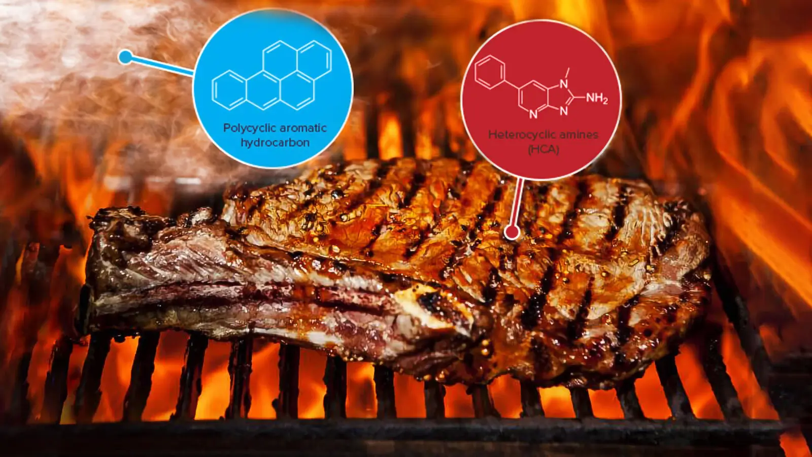 Carne cocinada: el mutágeno en un bocado, exposición a aminas heterocíclicas