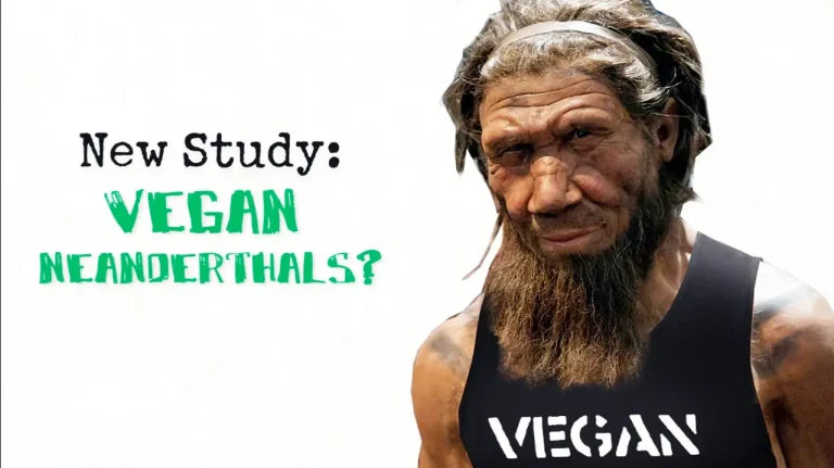 New Study: Vegan Neanderthals?