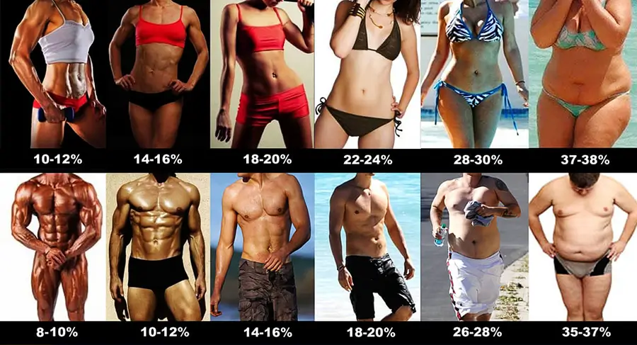 percentagem de gordura corporal