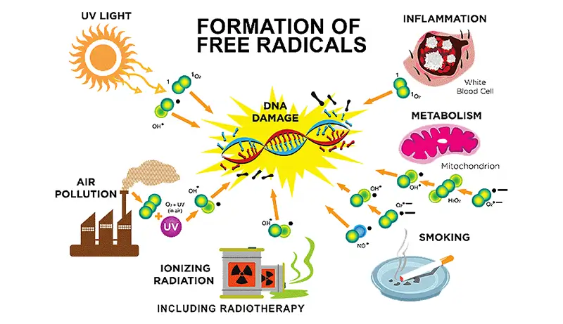 free-radical-formation