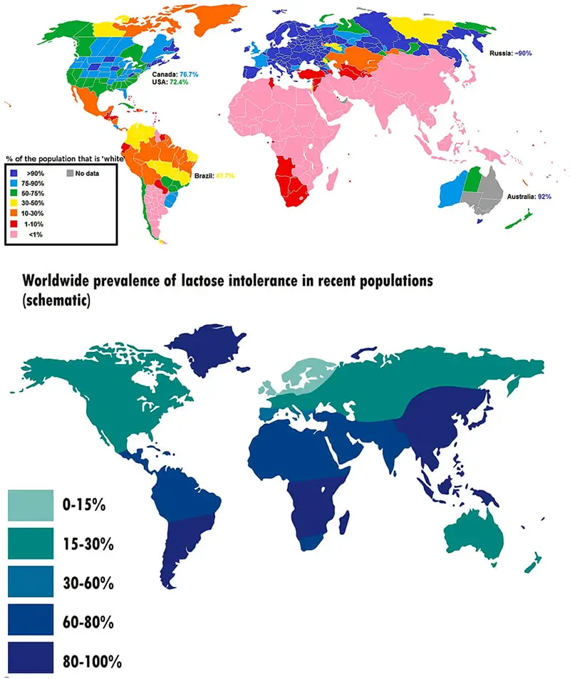 lactose intolerance around the world