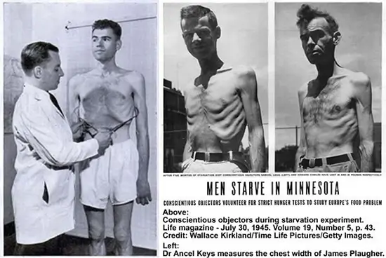 Minnesota Starvation Experiment: Why dieting makes us fat. The Psychology of Hunger.