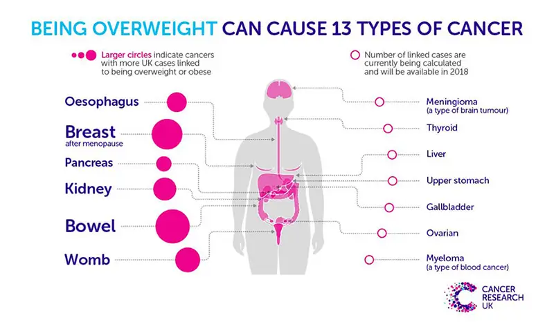 obesidade e risco de cancro