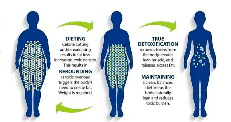 Desintoxicação e perda de peso