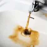 água suja | GoVeganWay.com