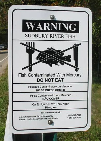 Mercury- Neurotoxin from the fish