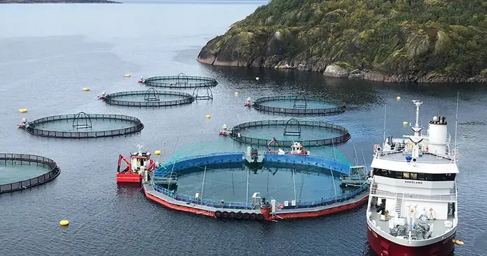 closed fish farming system