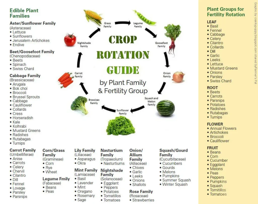 crop roration guide | GoVeganWay.com