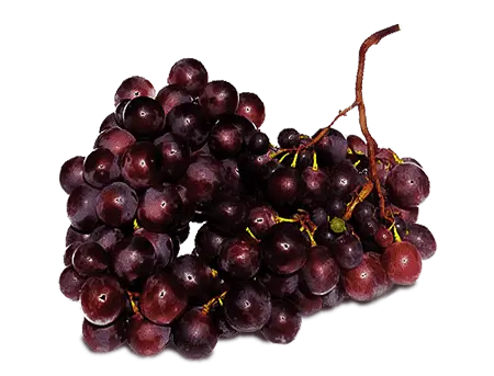 grapes finish3 | GoVeganWay.com
