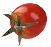 tomato 21