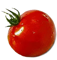 tomate3 | GoVeganWay.com