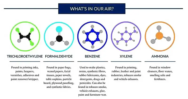 what is in your air | GoVeganWay.com