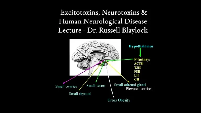 Excitotoxins, Neurotoxins & Human Neurological Disease Lecture – Dr. Russell Blaylock