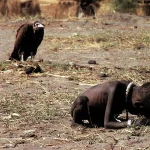 The vulture and the little girl | GoVeganWay.com