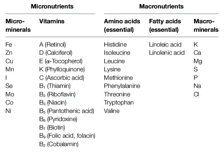 micro- et macro-nutriments
