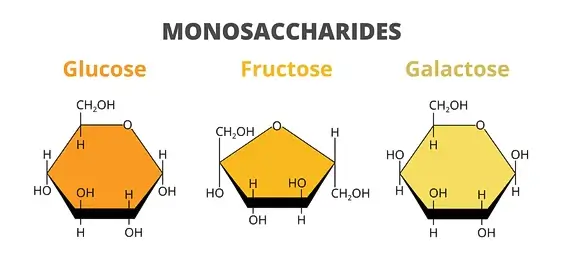 моносахариды