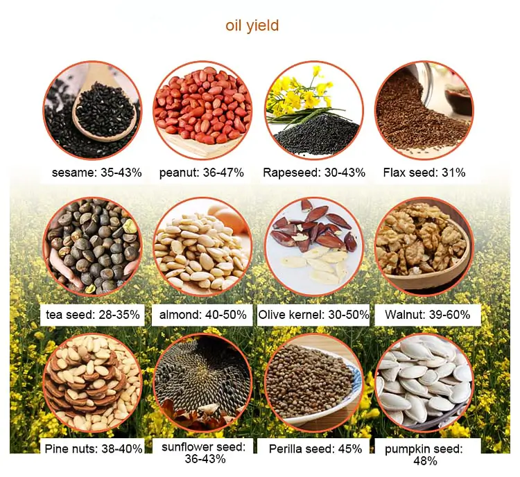 seeds oil content for home oil extraction