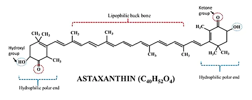 Chemical-structure-of-Astaxanthin