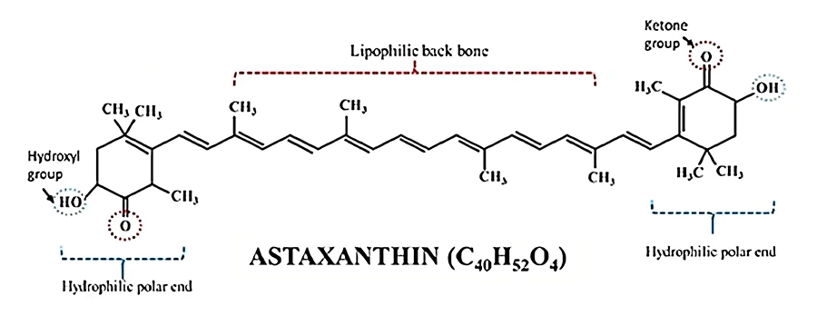 Chemische Struktur von Astaxanthin